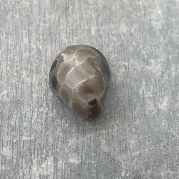 Petoskey stone - Picture 4 of 6